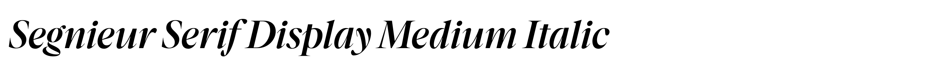 Segnieur Serif Display Medium Italic